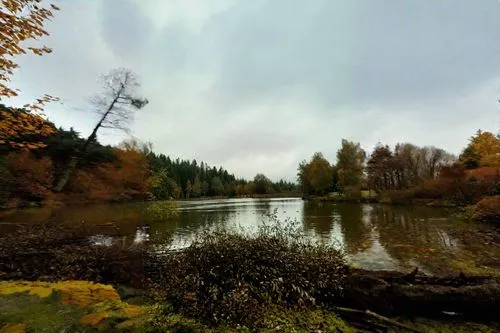 360 ° panorama,mckenzie river,riparian forest,wet lake,oxbow lake,a small lake,wetland,medicine lake,moor lake,fax lake,oregon,riparian zone,starnberger lake,tidal marsh,autumn landscape,autumn scenery,lake terchin,phoenix lake,fisheye lens,laacher lake