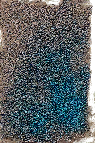 aerial landscape,cyanescens,degenerative,polypores,starlings,blue mushroom,cyanate,chiyonofuji,blue spheres,blue painting,cyanosis,oxidising,spermatophores,cyanobacterium,kngwarreye,drone image,biofilm,fungus,mushroom landscape,enamel,Illustration,Black and White,Black and White 19