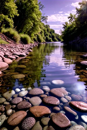 steppingstones,river wharfe,a river,waterscape,river landscape,river bank,riverbank,wharfe,aura river,riverbed,clear stream,watercourse,water scape,riverworld,flowing creek,rivelin,waterway,riverbeds,towpath,holy river,Illustration,Black and White,Black and White 11