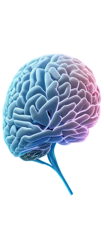 brain icon,cerebrum,brain structure,human brain,brain,neurath,cognitive psychology,magnetic resonance imaging,brainy,neurology,mindmap,bicycle helmet,neural network,isolated product image,acetylcholine,neurons,neural,neural pathways,speech icon,brain storming,Illustration,Realistic Fantasy,Realistic Fantasy 44