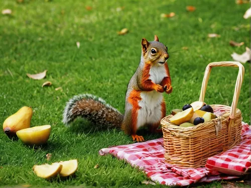 Write a humorous anecdote about a mischievous squirrel causing chaos in Syon Park during a picnic.,picnic basket,relaxed squirrel,picnic,chilling squirrel,cart of apples,basket of apples,family picnic