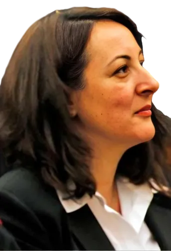 delbene,zellner,dinnerstein,degette,peltzman,heptulla,rajavi,sakiewicz,segolene,goellner,andrea vitello,sibierski,kirienko,melungeon,argerich,veeder,malmstroem,gillard,cruzado,assemblywoman