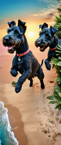 whimsical photorealistic final render of ten kerry blue terrier puppies, paying on the lawn, completely realistic and natural, vinyl spandex leotard, background tropical beach, tropical beach at sunse