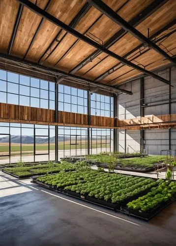 Modern hemp facility, industrial architecture, green roof, solar panels, vertical farming, steel frames, glass walls, wooden accents, natural lighting, open layout, minimalist decor, potted plants, co