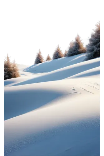 snow landscape,snowfield,snowy landscape,snowdrift,winter background,snow slope,winter landscape,snow cornice,ortler winter,snow fields,christmas snowy background,snow scene,snowflake background,deep snow,winter forest,snow trees,ore mountains,white turf,coniferous forest,alpine meadows,Illustration,Paper based,Paper Based 22