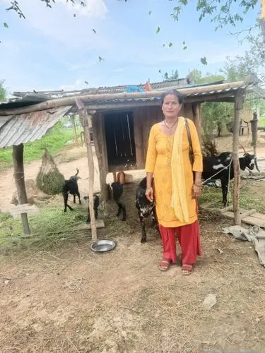 bakra,rautahat,qurbana,bihu,naogaon,chitwan,gaibandha,mataji,nalbari,tarai,dhemaji,kaziranga,manikganj,giridih,panchayats,jangipur,qurbani,rabha,panchayati,brahmans