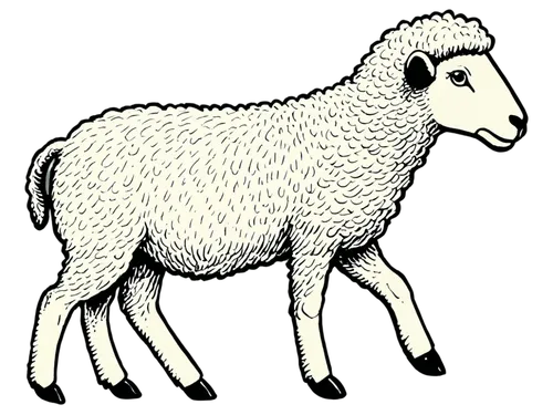 wool sheep,male sheep,merino sheep,sheared sheep,merino,shear sheep,llambi,ovine,lambswool,sheep tick,sheepshanks,schaap,the sheep,llambias,shepherded,sheep knitting,muldaur,bakri,sheepherding,sheep portrait,Illustration,Vector,Vector 15