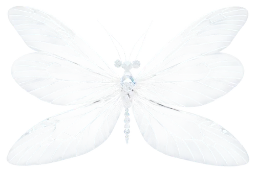 butterfly vector,white butterfly,blue butterfly background,butterfly white,whitewings,butterfly background,morphos,butterfly isolated,white butterflies,apophysis,sylphs,isolated butterfly,angel wings,angel wing,butterfly clip art,sylph,butterflied,aurora butterfly,lacewings,seraphim,Illustration,Realistic Fantasy,Realistic Fantasy 07