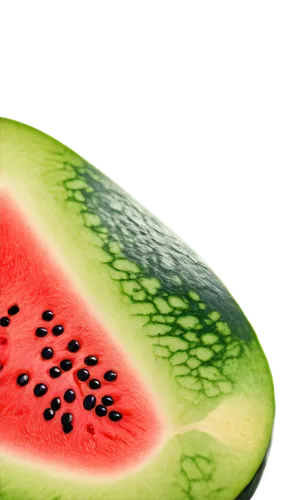 watermelon background,watermelon pattern,watermelon wallpaper,watermelon painting,cut watermelon,watermelons,melon,watermelon,seedless fruit,sliced watermelon,seedless,muskmelon,watermelon slice,gummy watermelon,melons,integrated fruit,watermelon umbrella,cantaloupe,fruit pattern,bud melon,Conceptual Art,Sci-Fi,Sci-Fi 18