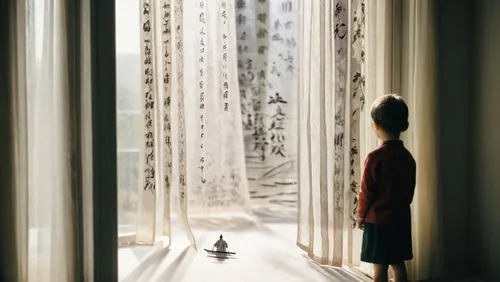 a curtain,window curtain,curtain,bamboo curtain,window treatment,curtains,blinds,looking glass,theater curtains,window blind,room divider,the little girl's room,mirror house,transparent window,window 