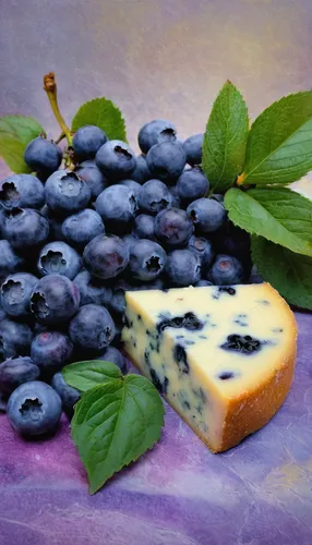 Create a dialogue between two friends discussing their shared love for blueberry stilton cheese.,blueberry stilton cheese,shropshire blue cheese,summer fruit,danish blue cheese,stilton blue cheese,bil