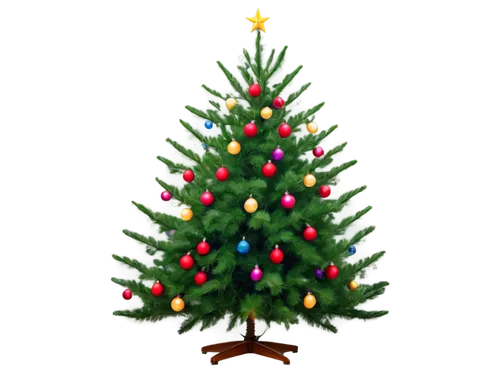 nordmann fir,fir tree decorations,canadian fir,decorate christmas tree,christmas tree pattern,christmas tree,fir tree,christmas pine,spruce tree,the christmas tree,fir,balsam fir,fir branch,trimming christmas tree,fir tree ball,christmas trees,christbaumkugeln,bo tree,christmas tree decoration,seasonal tree,Art,Classical Oil Painting,Classical Oil Painting 23