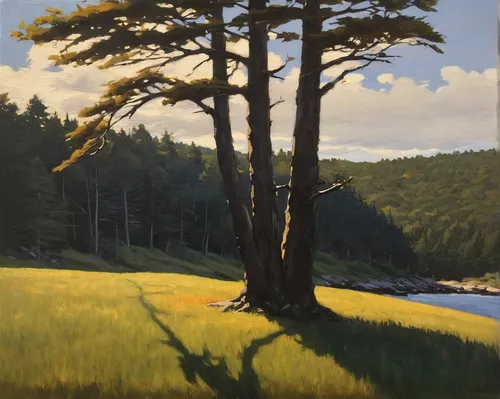 salt meadow landscape,oregon pine,spruce branch,jack pine,pine trees,pine branch,forest landscape,pine forest,pine tree,river juniper,black pine,mendocino,white pine,shortstraw pine,spruce forest,oil on canvas,pine-tree,row of trees,spruce-fir forest,northwest forest,Conceptual Art,Oil color,Oil Color 12