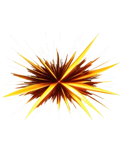 fireworks rockets,fireworks background,sunburst background,pyrotechnic,airburst,netburst,fireworks art,pyroelectric,firework,cordite,shower of sparks,diwali background,firebolt,sparks,flying sparks,fireworks,epiblast,firespin,pyrokinetic,pyromania,Photography,Documentary Photography,Documentary Photography 05