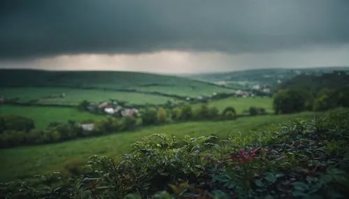 northern black forest,ardennes,thuringia,sauerland,odenwald,green landscape,mosel,lubitel 2,rhineland palatinate,tilt shift,taunus,eifel,ore mountains,wetterhoun,styria,black forest,schäfchenwolke,grey sky,appenzell,lunwetter,Photography,General,Cinematic