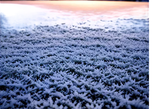 ground frost,white turf,morning frost,frosts,frost,frozen morning dew,frostiness,hoarfrost,snow crystals,ice crystals,frostings,carpet,the first frost,frosty weather,snowflake background,graupel,winterization,blue snowflake,snow fields,frostily,Illustration,Vector,Vector 20