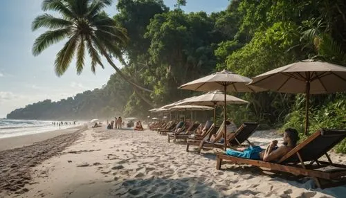 kohphangan,phuket province,phuket,bali,klong prao beach,khao phing kan,umbrella beach,paradise beach,koh phi phi,kuta beach,balinese,railay bay,indonesia,dadaepo beach,dream beach,jimbaran beach,beautiful beaches,sunrise beach,krabi thailand,white sand beach