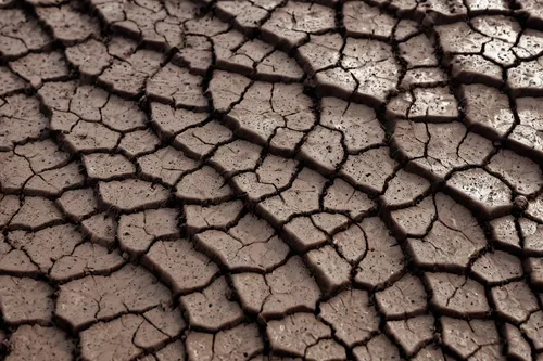 spiky mud texture, sharp mud spikes, wet earth, brown and dark tones, close-up, detailed mud surface, rugged terrain, outdoor environment, natural light, overcast sky, macro photography, realistic sty