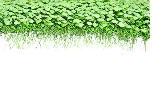 green wallpaper,spring leaf background,green background,biopesticide,aaaa,aaa,background ivy,green border,microgreens,green electricity,greentech,chloropaschia,green plants,nature background,green,background vector,patrol,artificial grass,spring background,green leaves,Art,Artistic Painting,Artistic Painting 09