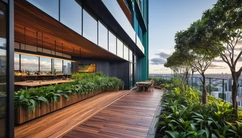 landscape design sydney,landscape designers sydney,garden design sydney,roof garden,roof terrace,balcony garden,weatherboards,penthouses,block balcony,verandah,verandahs,corten steel,wooden decking,woollahra,dunes house,waterview,landscaped,wood deck,weatherboard,contemporary decor,Art,Artistic Painting,Artistic Painting 03