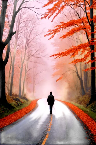 autumn background,roadless,world digital painting,the road,long road,autumn scenery,autumn walk,forest road,the autumn,road,road forgotten,empty road,road of the impossible,photo painting,late autumn,maple road,autumn fog,journeyed,country road,autumn,Art,Artistic Painting,Artistic Painting 41