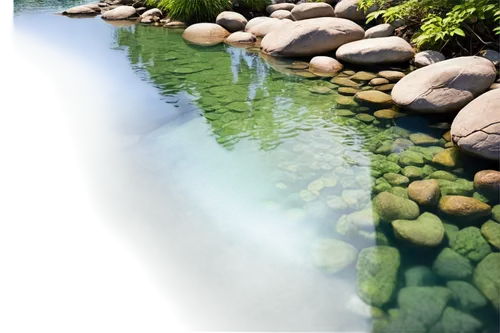 Sparkling stream, gentle flow, crystal clear water, smooth rocks, lush greenery, overhanging branches, sunny day, soft light filtering through trees, shallow depth of field, warm color tone, cinematic