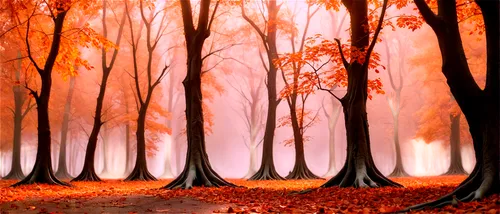 autumn forest,autumn background,background vector,beech trees,deciduous forest,autumn trees,fairytale forest,enchanted forest,forest landscape,forest background,germany forest,tree grove,halloween bare trees,cartoon video game background,autumn landscape,forest glade,mixed forest,row of trees,autumn scenery,beech forest,Conceptual Art,Sci-Fi,Sci-Fi 13