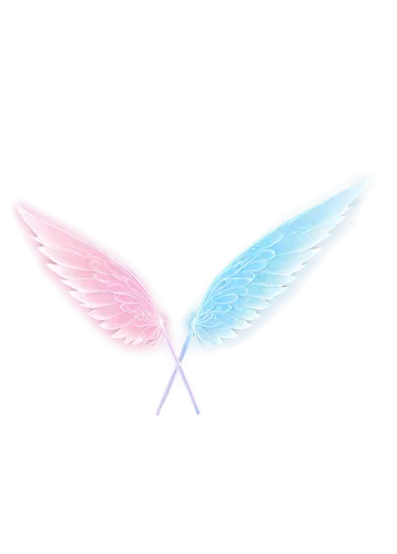 winged heart,angel wing,angel wings,winged,wings,angelnote,glass wings,wing,angelfire,delta wings,angelnotes,hindwings,bird wings,angels,opalescent,whitewings,butterfly background,pink vector,wingbeats,pastel wallpaper,Conceptual Art,Daily,Daily 25