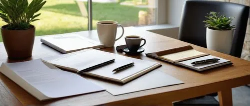 Modern architectural design development book, leather-bound cover, golden font title, ornate decorations, coffee table setup, morning sunlight streaming through floor-to-ceiling windows, sleek wooden 