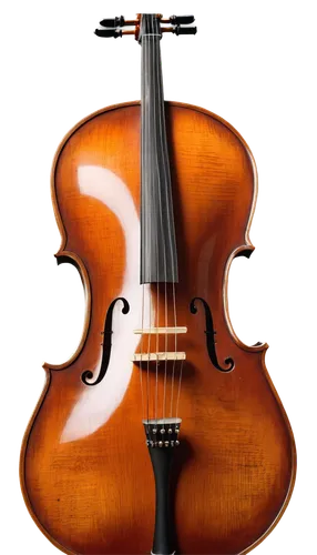 violoncello,stringed bowed instrument,violone,violin,bowed string instrument,bass violin,kit violin,violin neck,bowed instrument,viola,cello,violist,cello bow,violin bow,violins,fiddle,plucked string instrument,stringed instrument,string instrument,violin family,Conceptual Art,Fantasy,Fantasy 25