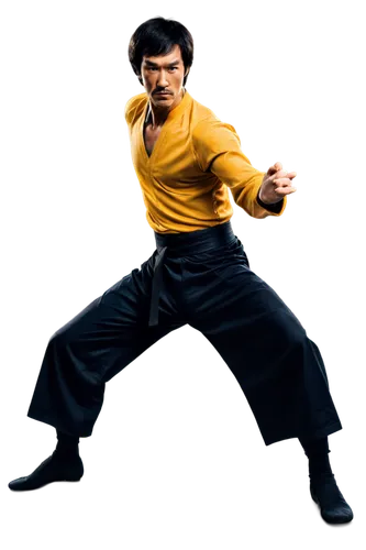 bruce lee,kung fu,jeet kune do,shaolin kung fu,jackie chan,kungfu,wing chun,baguazhang,taijiquan,karate,wushu,qi gong,lando,karate kid,martial arts,martial arts uniform,pencak silat,kung,shorinji kempo,savate,Illustration,Paper based,Paper Based 20