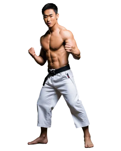 Martial arts, Asian male, 25yo, muscular body, short black hair, intense gaze, sweaty skin, white uniform, tied belt, bare feet, dynamic pose, kicking motion, powerful leg, clenched fists, dramatic li