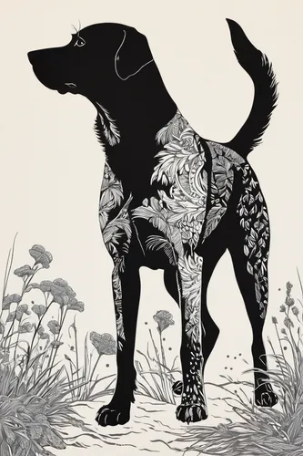 dog illustration,lancashire heeler,dog line art,canidae,australian kelpie,australian cattle dog,australian stumpy tail cattle dog,kelpie,bruno jura hound,dog drawing,scent hound,polish hunting dog,black shepherd,beauceron,bluetick coonhound,german shorthaired pointer,line art animals,dog poison plant,patterdale terrier,canis lupus,Illustration,Black and White,Black and White 31