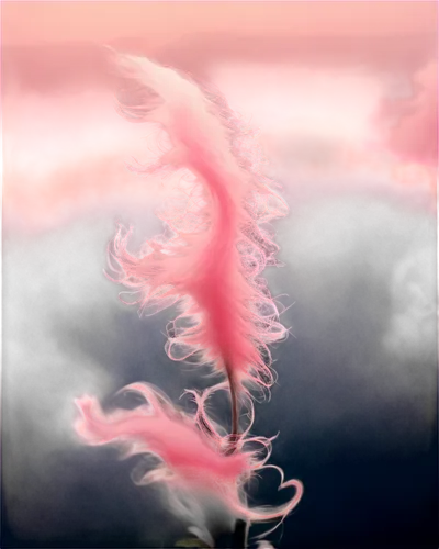 axolotl,nudibranch,polychaete,axolotls,wisp,flabellina,dragonair,whirlwinds,olm,sylphs,kujira,amaterasu,plumes,hippocampus,swan feather,akumu,whirlwind,wormlike,nudibranchs,flame spirit,Photography,Fashion Photography,Fashion Photography 23