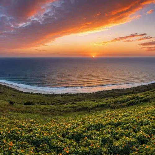 sunrise orange horizon --auto --s2,transkei,amanzimtoti,new south wales,cornwall,byron bay,merewether,south australia,montara,dorset,great ocean road,eastern cape,wildcoast,coast sunset,zealand,wester