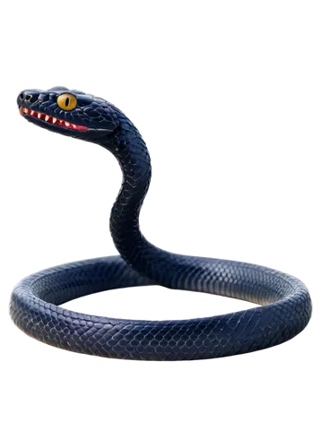 vipera,african house snake,anaconda,blue snake,keelback,serpent,emperor snake,venomous snake,knake,king cobra,serpiente,snakebit,black mamba,black snake,red bellied black snake,lampropeltis,anacondas,slithery,serpents,kingsnake,Illustration,Abstract Fantasy,Abstract Fantasy 16