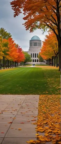 uva,unl,mit,autumn in the park,the trees in the fall,washingtonian,fall landscape,syracuse,mckeldin,ualbany,fall foliage,vatech,thomas jefferson memorial,uiuc,usna,autumn background,peristyle,uw,garrison,umd,Photography,Black and white photography,Black and White Photography 09