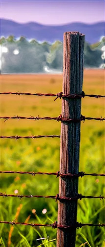 Rural landscape, rusty barbed wire fence, worn wooden posts, tangled weeds, overgrown grass, morning dew, soft sunlight, panoramic view, shallow depth of field, warm color tone, cinematic lighting, de