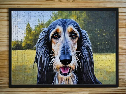 Afghan Hound Portrait HD Sublimation Metal print with Decorating Float Frame (BOX),afghan hound,bearded collie,rough collie,gordon setter,saluki,otterhound,sheltie,dog frame,skye terrier,borzoi,pet po