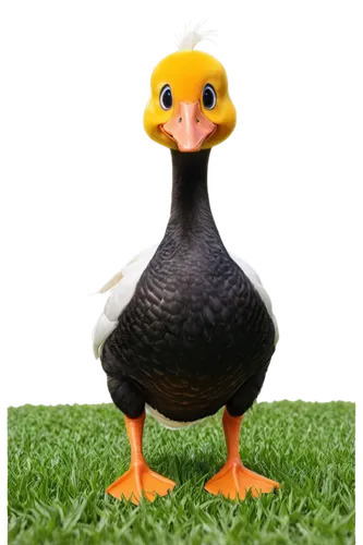 rockerduck,blackduck,lameduck,cayuga duck,duck,female duck,brahminy duck,diduck,easter goose,duck bird,gooseander,quacker,volpato,ornamental duck,gamefowl,quacking,the duck,canard,duckling,quackwatch,Conceptual Art,Daily,Daily 02