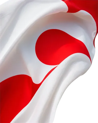 swiss flag,carp,target flag,turkish flag,chilean flag,st george ribbon,singapura,canadian flag,bahrain,wakayama,taranaki,shikoku,nz,punakaiki,hd flag,shibuyasky,flag of turkey,nattō,red banner,omani,Art,Classical Oil Painting,Classical Oil Painting 30