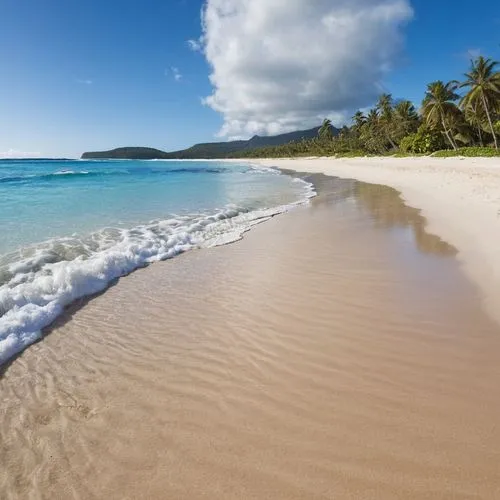 dream beach,beach landscape,beautiful beach,caribbean beach,white sandy beach,turquoise water,Photography,General,Realistic