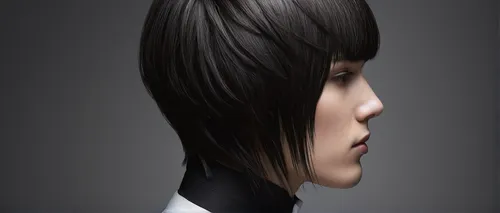 artificial hair integrations,asymmetric cut,management of hair loss,layered hair,hair shear,asian semi-longhair,hair iron,the long-hair cutter,hair loss,oriental longhair,head woman,colorpoint shorthair,stylograph,hairstyler,human head,hairdressing,headset profile,smooth hair,bob cut,hairgrip,Illustration,Realistic Fantasy,Realistic Fantasy 17