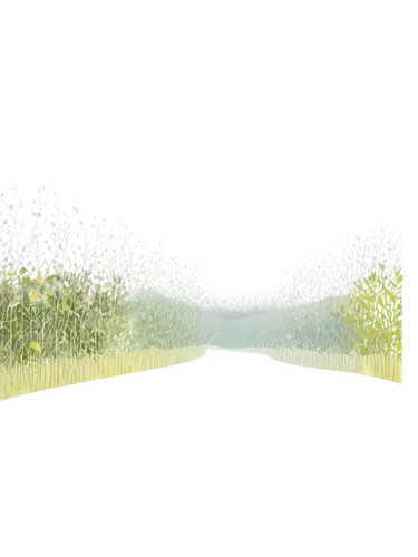 blooming field,dandelion field,dandelion background,virtual landscape,dandelion meadow,flower field,tunnel of plants,3d background,field of flowers,springtime background,spring background,meadowfoam,small meadow,flowers field,green meadow,flower background,spring meadow,volumetric,blooming grass,cotton grass,Illustration,Vector,Vector 13