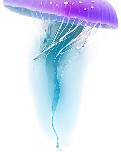 jellyfish,jellyfish collage,lion's mane jellyfish,sea jellies,jellyfishes,jellies,ctenophores,medusae,cnidaria,medusahead,velella,cloud mushroom,mycena,parachute,raincloud,paratrooper,nauplii,cauliflower jellyfish,hydrometeorology,underwater background,Art,Classical Oil Painting,Classical Oil Painting 33