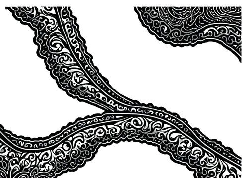 paisley pattern,paisley digital background,snake pattern,indian paisley pattern,zentangle,black and white pattern,coloring pages,coloring page,lace border,whirlpool pattern,wyrm,paisley,calligraphic,batik design,tangle,lace borders,seamless pattern,serpent,seamless pattern repeat,meanders,Illustration,Black and White,Black and White 01