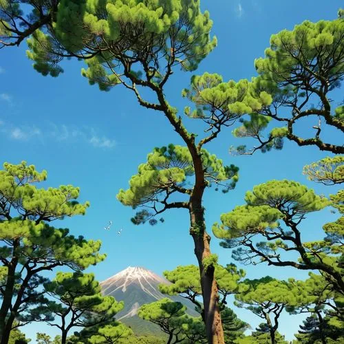 teide national park,fuji mountain,el teide,araucaria,teide,fuji,mount fuji,mt fuji,mount taranaki,japanese mountains,pine tree,tenerife,taranaki,tropical and subtropical coniferous forests,japan landscape,kilimanjaro,evergreen trees,mount kilimanjaro,austrocedrus chilensis,popocatepetl