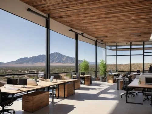 modern office,creative office,daylighting,gensler,offices,conference room,sonoita,snohetta,workspaces,silverleaf,steelcase,quartzsite,revit,study room,office space,oticon,bohlin,investec,neutra,working space,Illustration,Black and White,Black and White 29