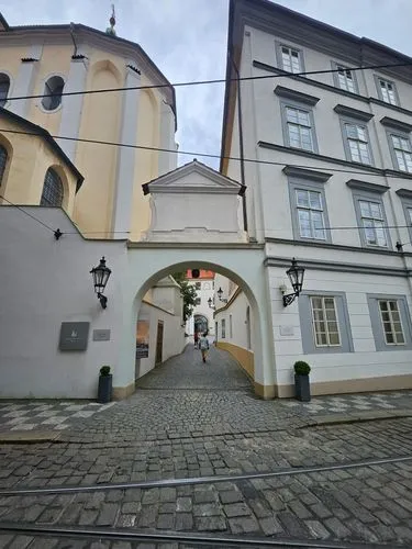 vegetation mistery 

,getreidegasse,pirna,passau,nikolaiviertel,ebersdorf,nygatan,gatan,holsten gate,toompea,olkusz,kranj,brno,nauerner square,rottweil,theresienstadt,stadtschloss,zittau,bardejov,hist