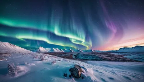 northen lights,auroras,norther lights,aurora borealis,auroral,aurorae,the northern lights,northen light,aurora,nothern lights,northern light,green aurora,polar aurora,northern lights,polar lights,abisko,aurora polar,northernlight,torngat,greenland,Photography,General,Natural